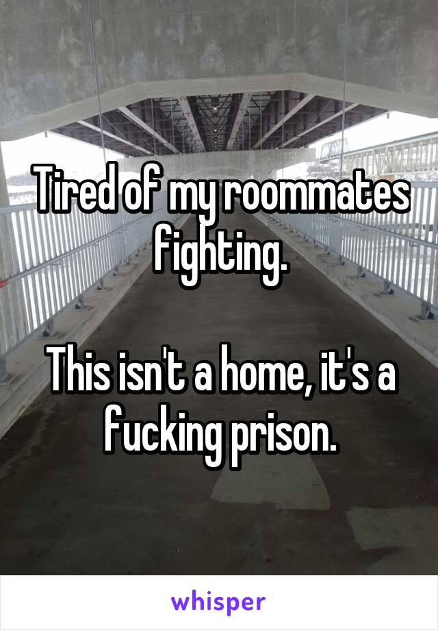 Tired of my roommates fighting.

This isn't a home, it's a fucking prison.