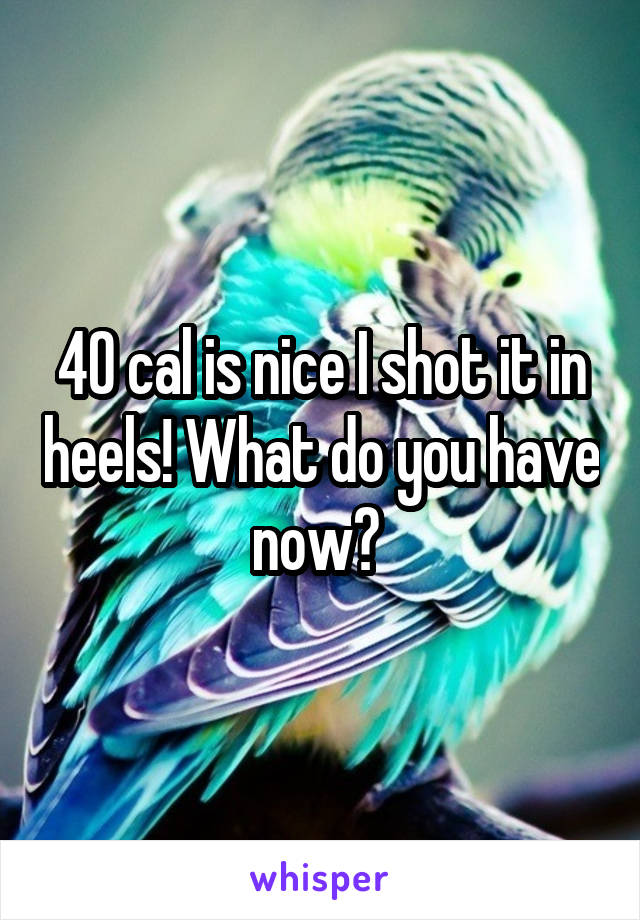 40 cal is nice I shot it in heels! What do you have now? 