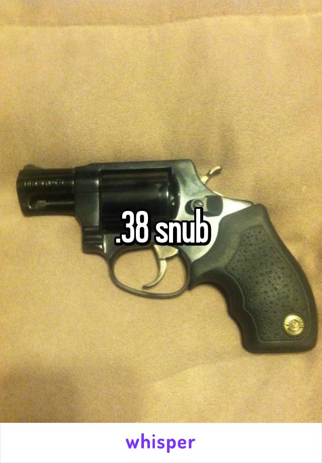 .38 snub