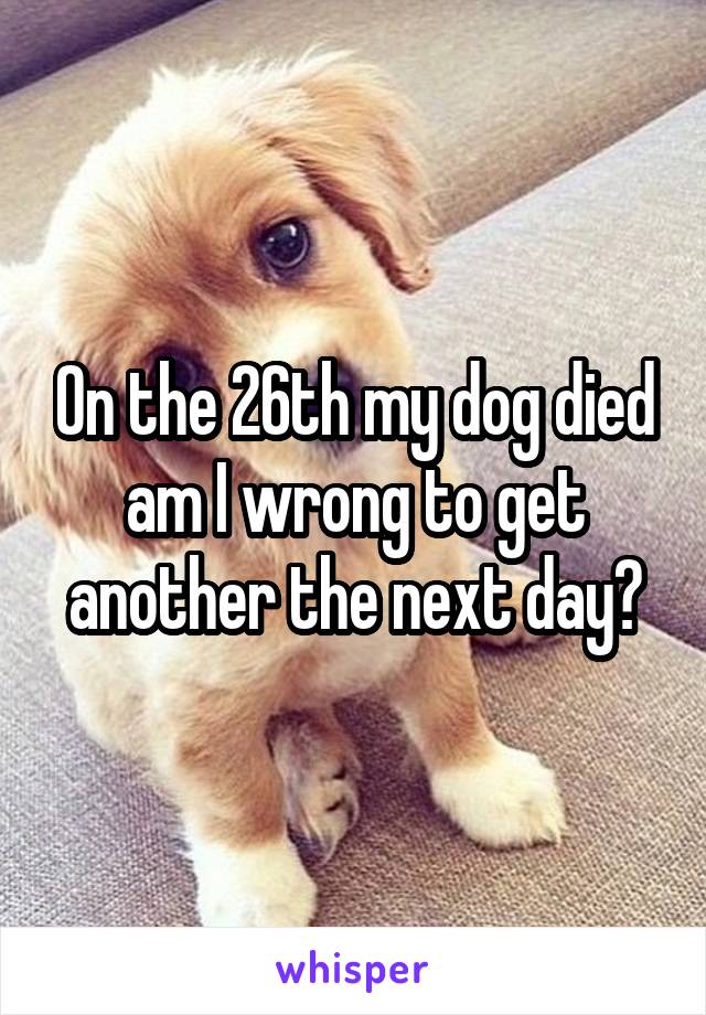 On the 26th my dog died am I wrong to get another the next day?