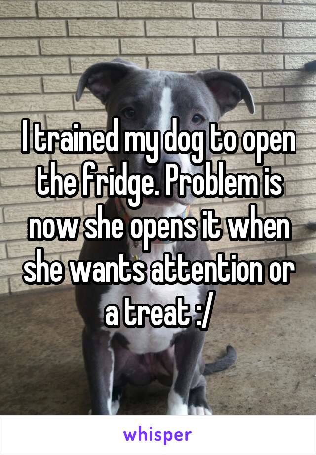 I trained my dog to open the fridge. Problem is now she opens it when she wants attention or a treat :/