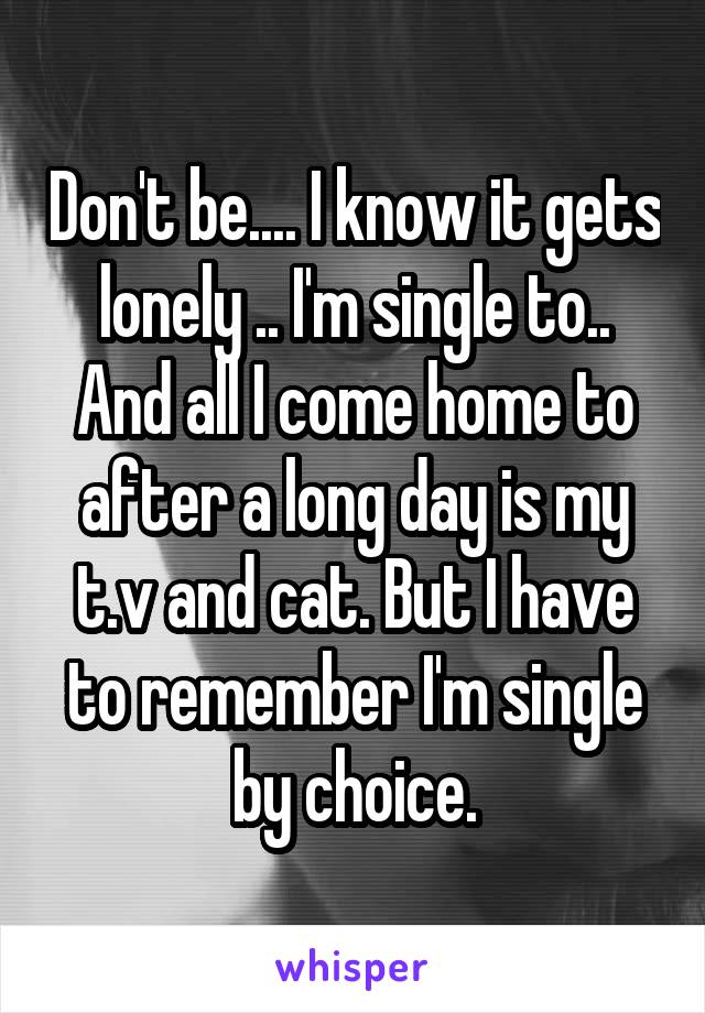 Don't be.... I know it gets lonely .. I'm single to.. And all I come home to after a long day is my t.v and cat. But I have to remember I'm single by choice.