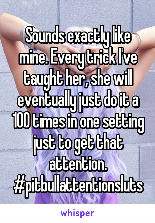 Sounds exactly like mine. Every trick I've taught her, she will eventually just do it a 100 times in one setting just to get that attention. #pitbullattentionsluts