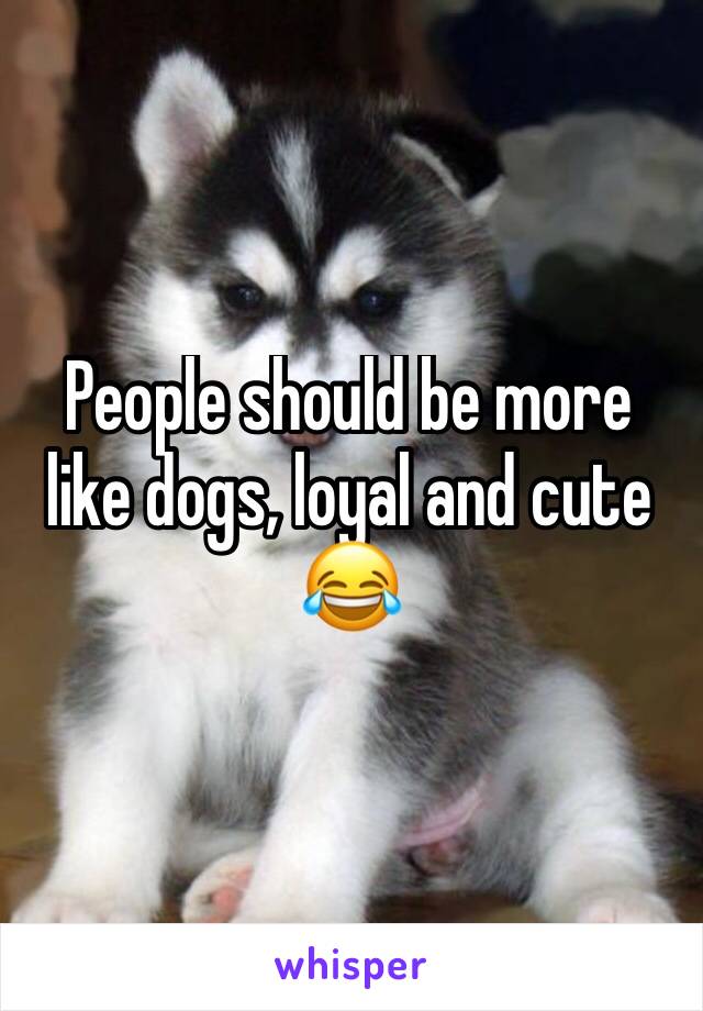 People should be more like dogs, loyal and cute 😂