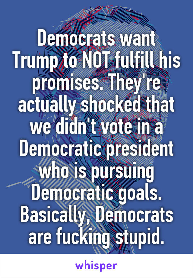 Democrats want Trump to NOT fulfill his promises. They're actually shocked that we didn't vote in a Democratic president who is pursuing Democratic goals. Basically, Democrats are fucking stupid.