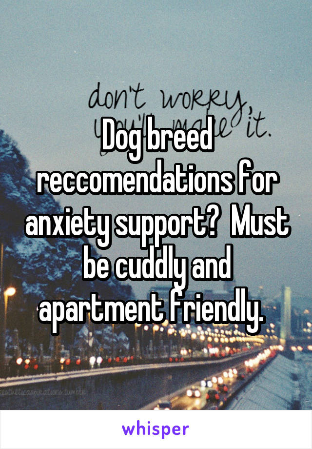 Dog breed reccomendations for anxiety support?  Must be cuddly and apartment friendly.  