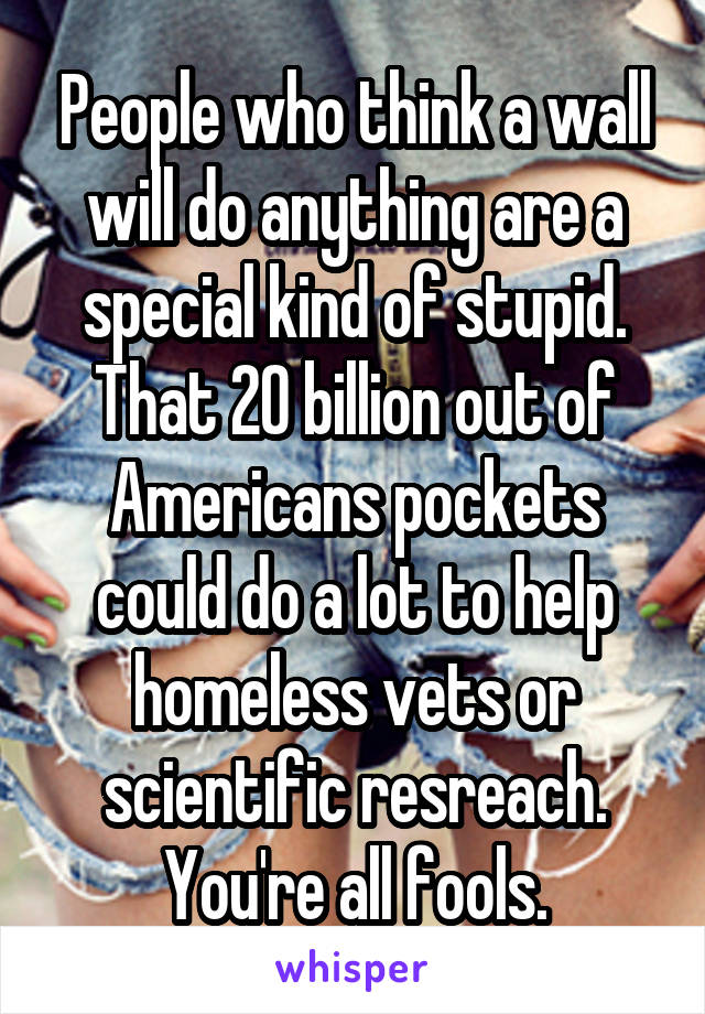 People who think a wall will do anything are a special kind of stupid. That 20 billion out of Americans pockets could do a lot to help homeless vets or scientific resreach. You're all fools.