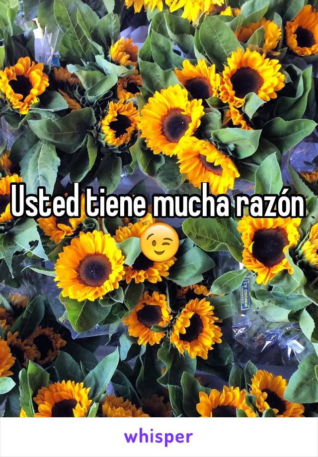 Usted tiene mucha razón 😉