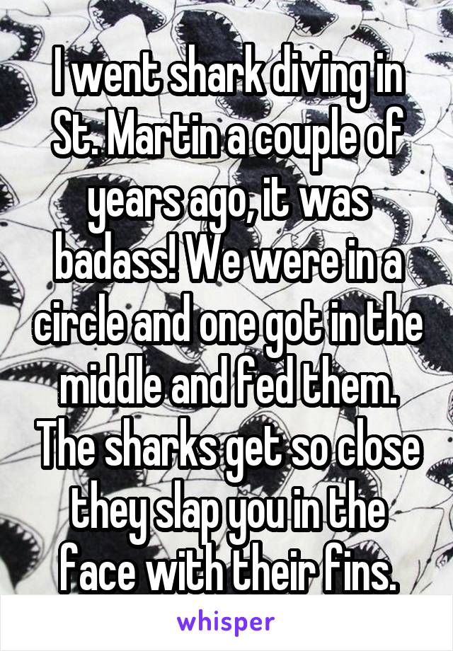 I went shark diving in St. Martin a couple of years ago, it was badass! We were in a circle and one got in the middle and fed them. The sharks get so close they slap you in the face with their fins.