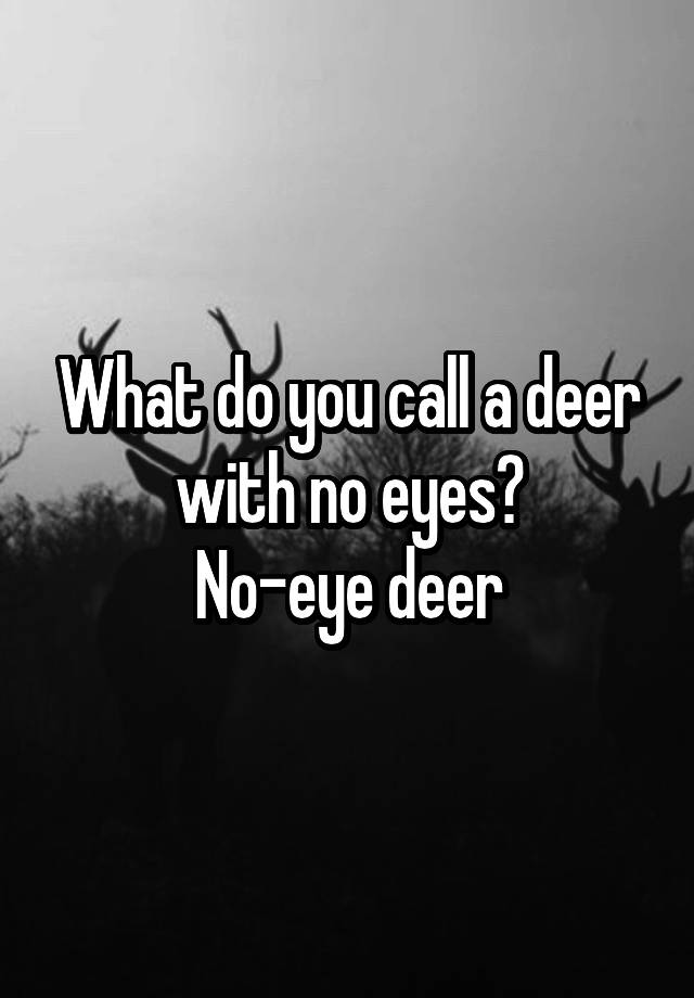 what-do-you-call-a-deer-with-no-eyes-no-eye-deer