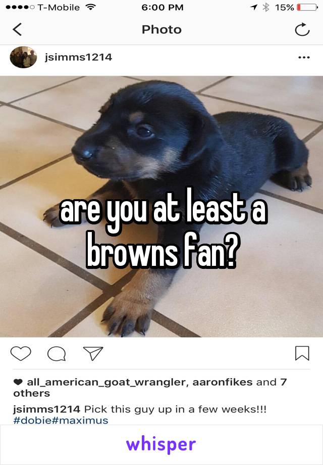 are you at least a browns fan?