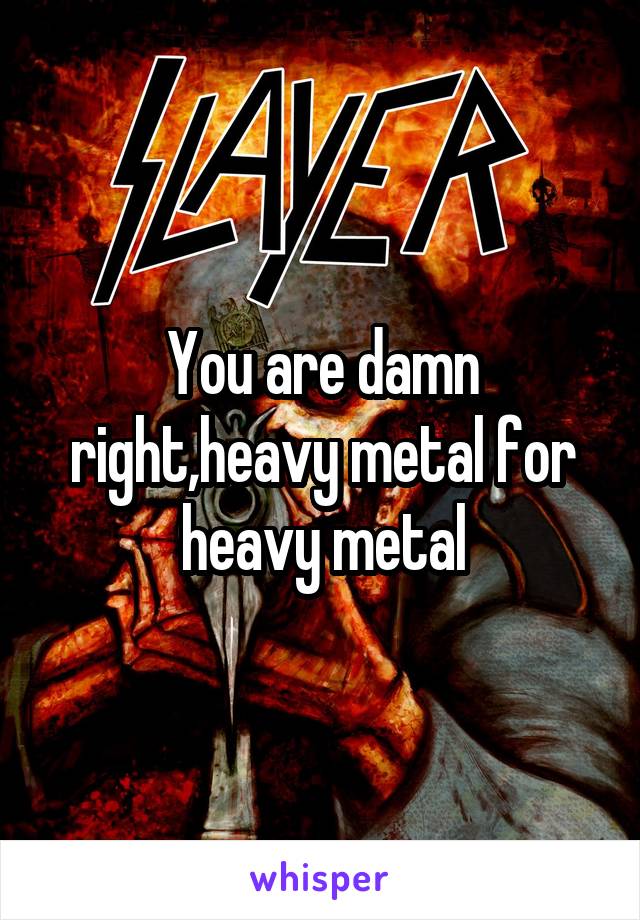 You are damn right,heavy metal for heavy metal