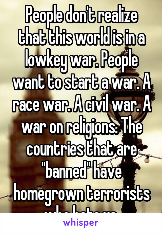 People don't realize that this world is in a lowkey war. People want to start a war. A race war. A civil war. A war on religions. The countries that are "banned" have homegrown terrorists who hate us.