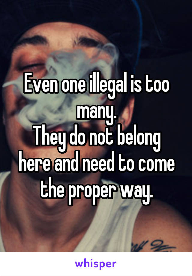 Even one illegal is too many.
They do not belong here and need to come the proper way.