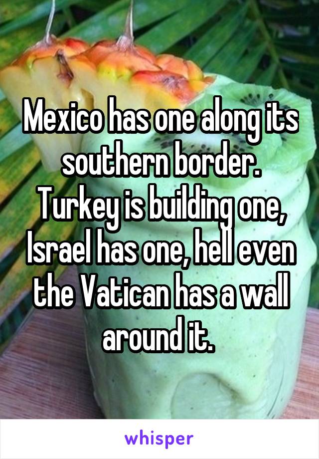 Mexico has one along its southern border. Turkey is building one, Israel has one, hell even the Vatican has a wall around it. 