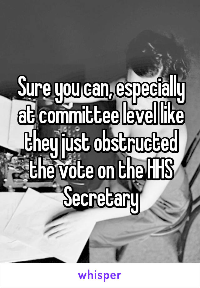 Sure you can, especially at committee level like they just obstructed the vote on the HHS Secretary