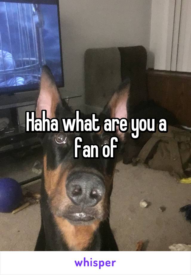 Haha what are you a fan of