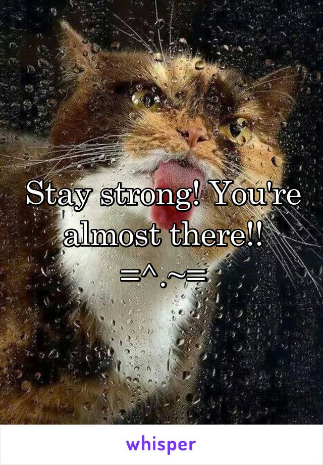 Stay strong! You're almost there!! =^.~=