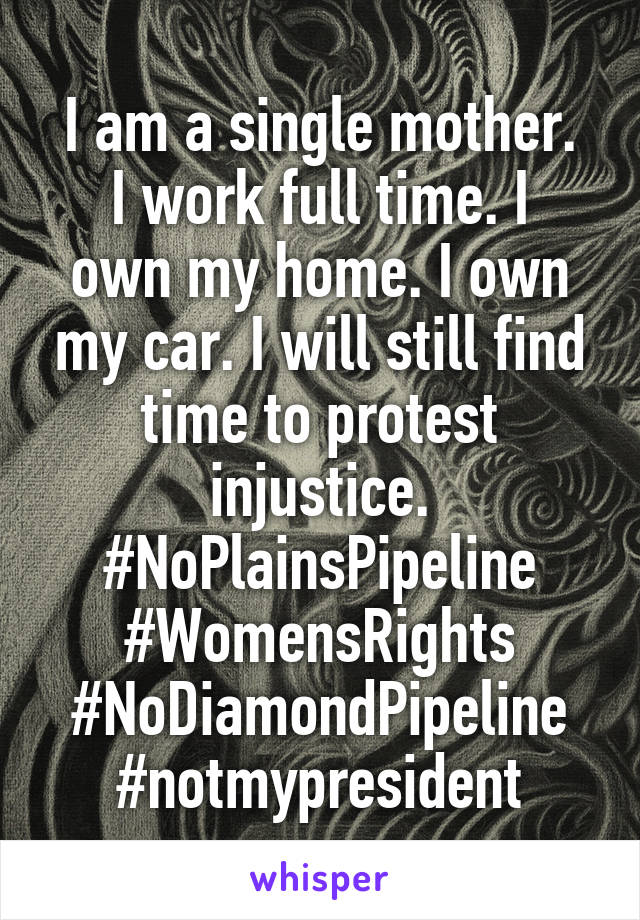 I am a single mother.
I work full time. I own my home. I own my car. I will still find time to protest injustice.
#NoPlainsPipeline #WomensRights #NoDiamondPipeline #notmypresident