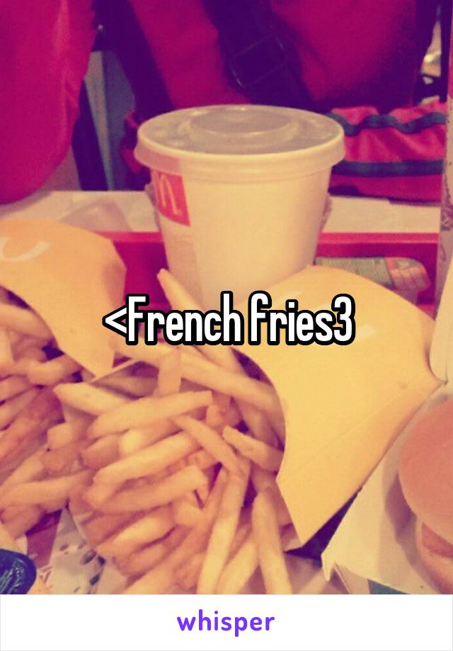 <French fries3