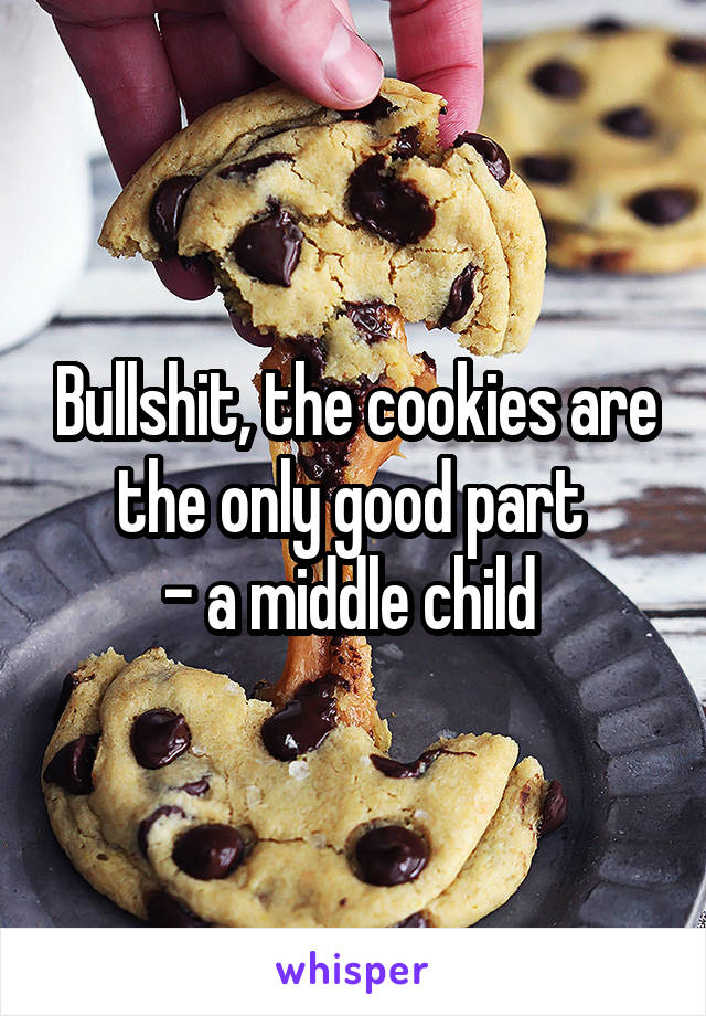 Bullshit, the cookies are the only good part 
- a middle child 