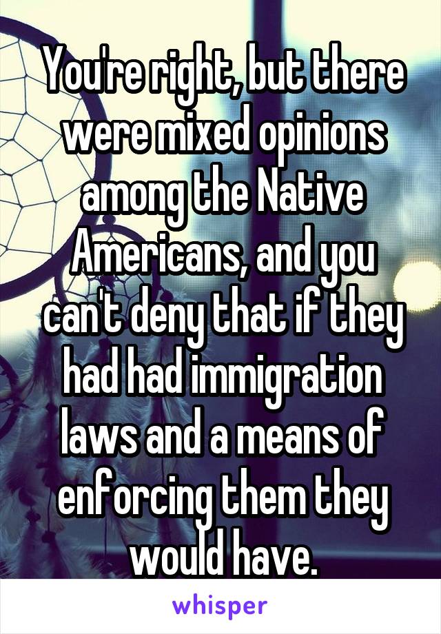 You're right, but there were mixed opinions among the Native Americans, and you can't deny that if they had had immigration laws and a means of enforcing them they would have.