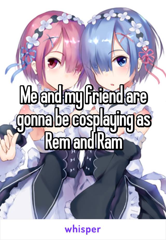 Me and my friend are gonna be cosplaying as Rem and Ram