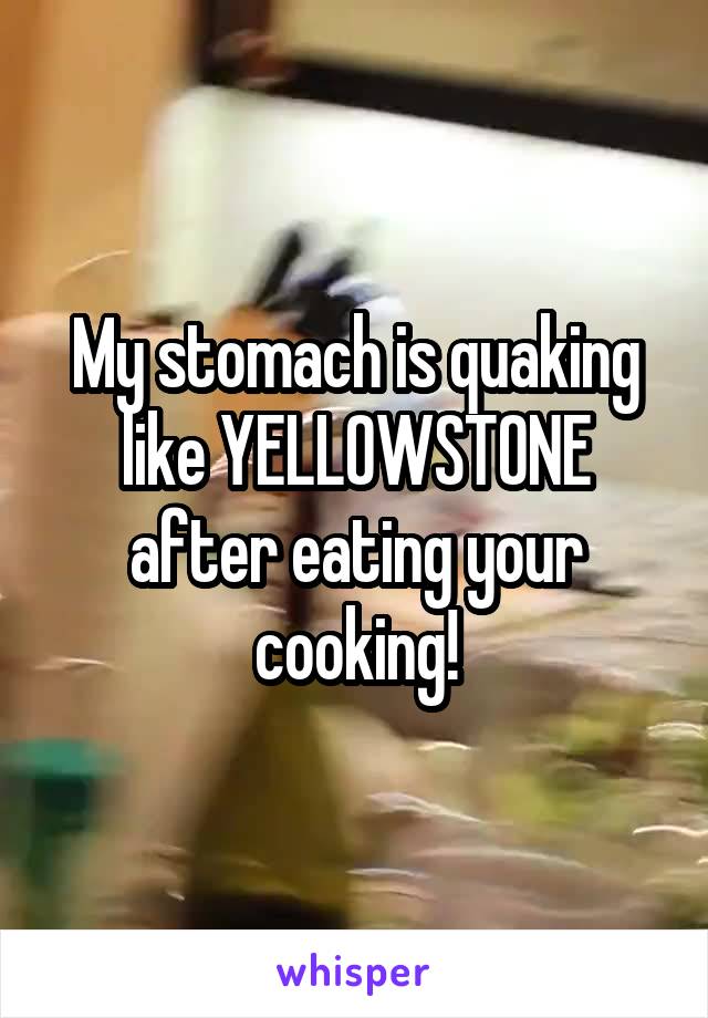 My stomach is quaking like YELLOWSTONE after eating your cooking!