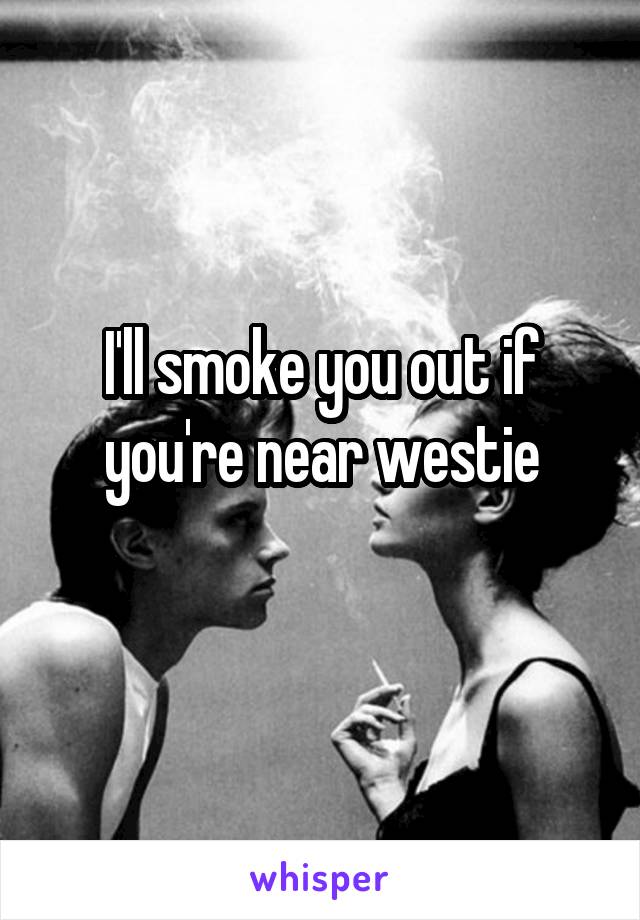 I'll smoke you out if you're near westie
