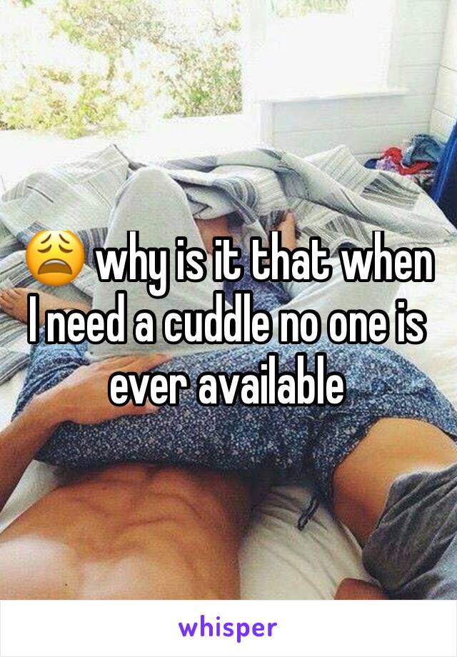 😩 why is it that when I need a cuddle no one is ever available 