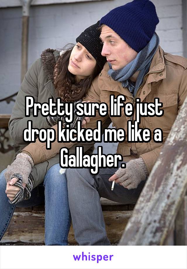 Pretty sure life just drop kicked me like a 
Gallagher. 