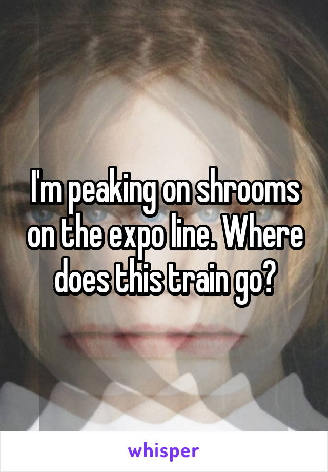 I'm peaking on shrooms on the expo line. Where does this train go?