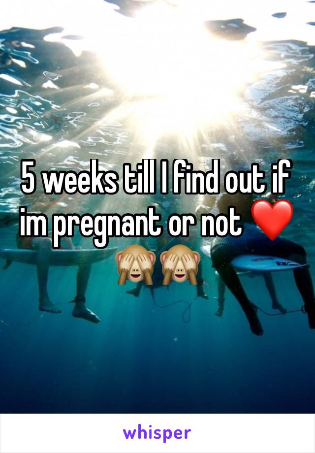 5 weeks till I find out if im pregnant or not ❤🙈🙈