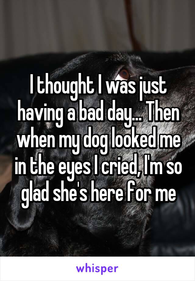 I thought I was just having a bad day... Then when my dog looked me in the eyes I cried, I'm so glad she's here for me