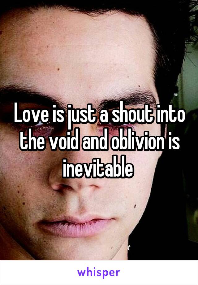 Love is just a shout into the void and oblivion is inevitable 