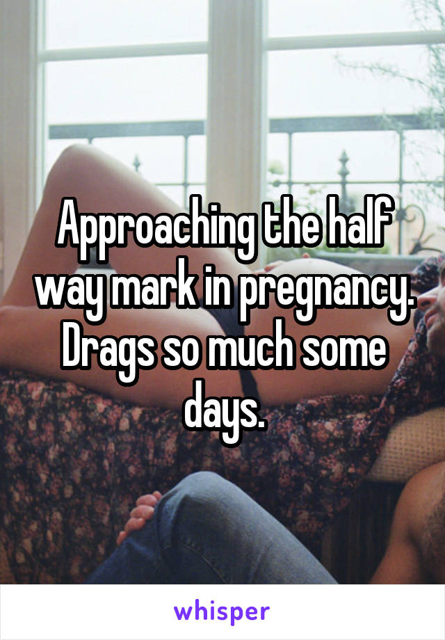 Approaching the half way mark in pregnancy. Drags so much some days.