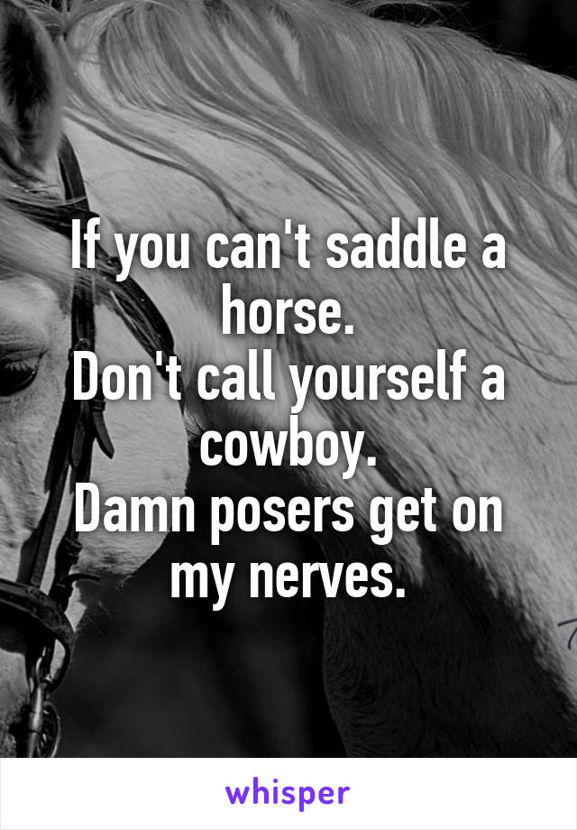 If you can't saddle a horse.
Don't call yourself a cowboy.
Damn posers get on my nerves.