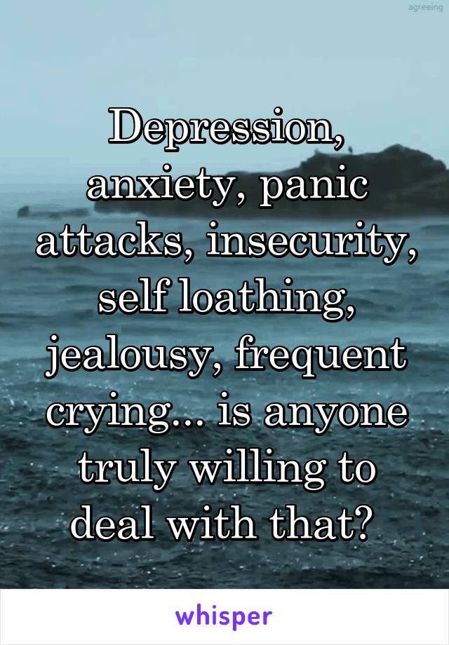 Depression, anxiety, panic attacks, insecurity, self loathing, jealousy, frequent crying... is anyone truly willing to deal with that? 