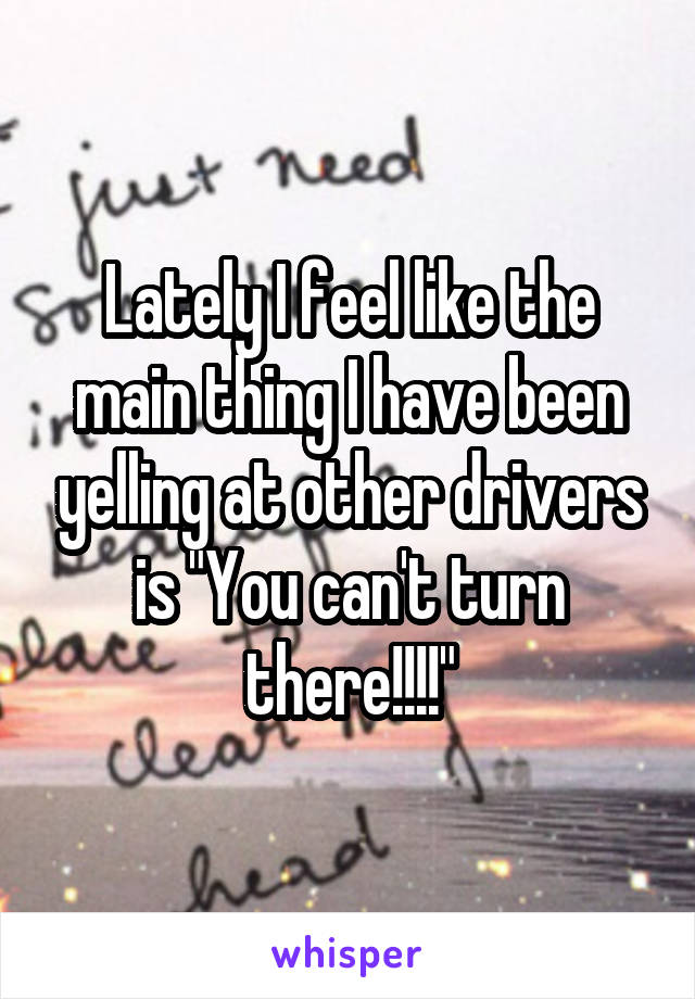 Lately I feel like the main thing I have been yelling at other drivers is "You can't turn there!!!!"