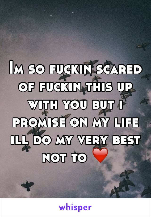 Im so fuckin scared of fuckin this up with you but i promise on my life ill do my very best not to ❤️