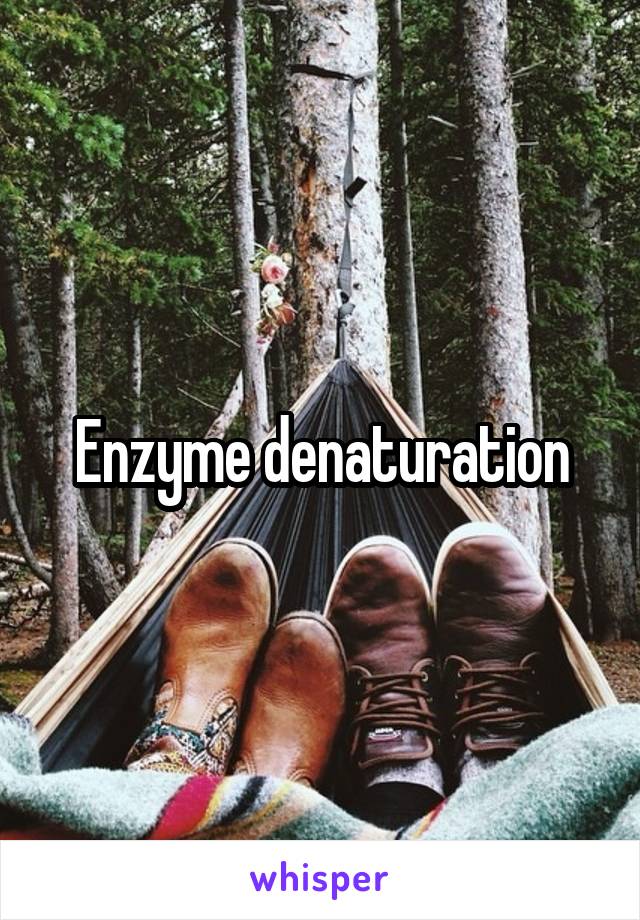 Enzyme denaturation