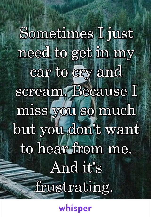 Sometimes I just need to get in my car to cry and scream. Because I miss you so much but you don't want to hear from me. And it's frustrating. 