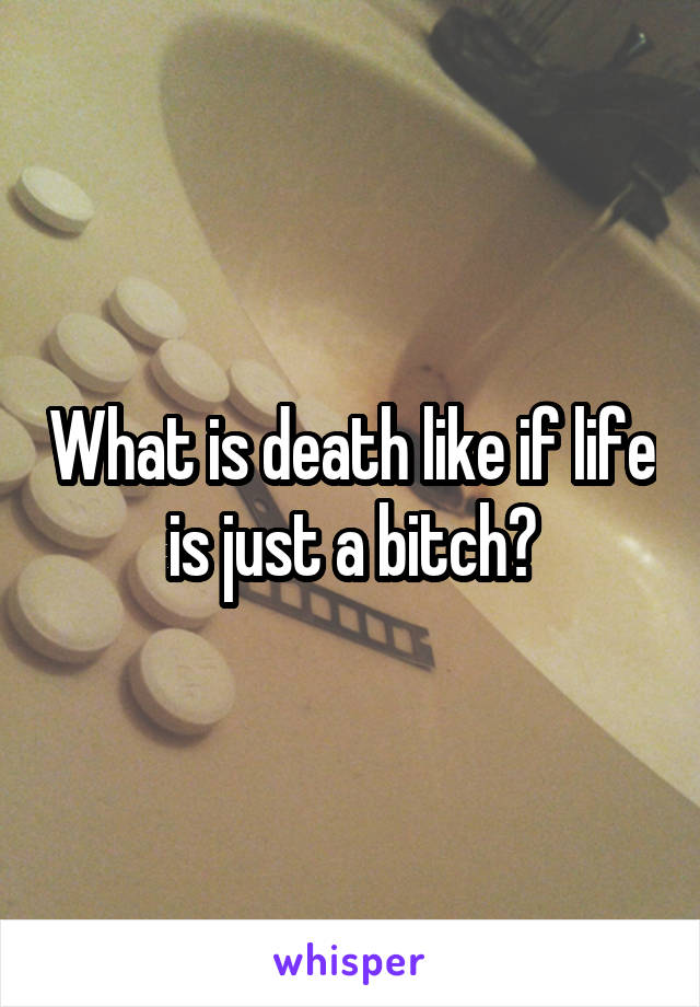 What is death like if life is just a bitch?