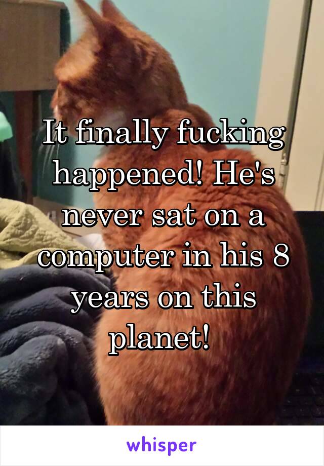 It finally fucking happened! He's never sat on a computer in his 8 years on this planet! 