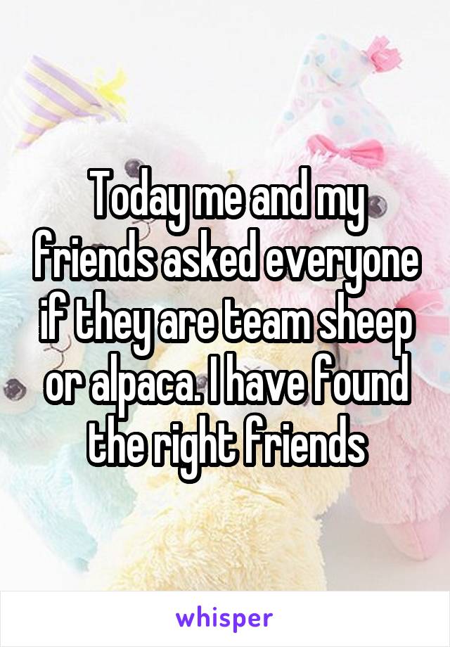 Today me and my friends asked everyone if they are team sheep or alpaca. I have found the right friends