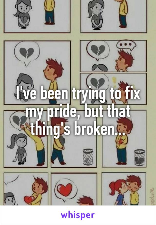 I've been trying to fix my pride, but that thing's broken...