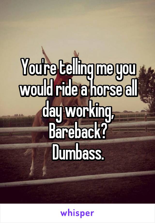 You're telling me you would ride a horse all day working,
Bareback?
Dumbass.