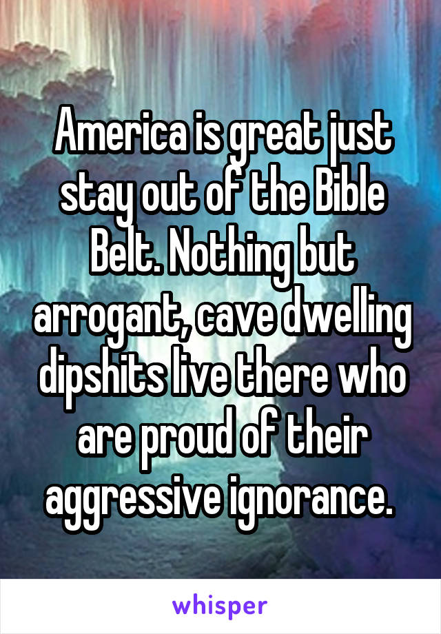 America is great just stay out of the Bible Belt. Nothing but arrogant, cave dwelling dipshits live there who are proud of their aggressive ignorance. 