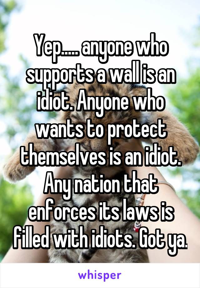 Yep..... anyone who supports a wall is an idiot. Anyone who wants to protect themselves is an idiot. Any nation that enforces its laws is filled with idiots. Got ya.