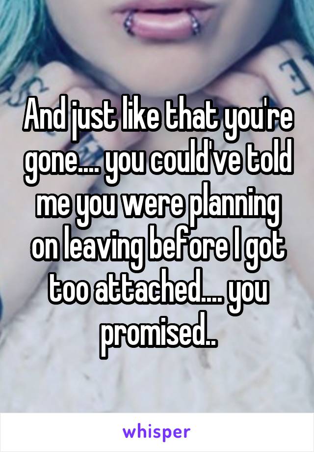 And just like that you're gone.... you could've told me you were planning on leaving before I got too attached.... you promised..